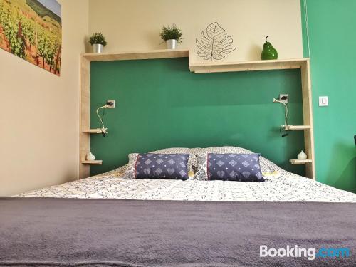 豪华公寓（Montagne Verte）