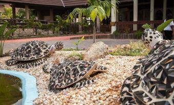 a group of turtles are resting on a bed of rocks in a tropical setting at Amani Tiwi Beach Resort