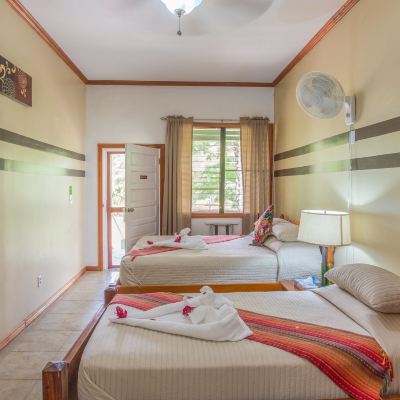 Standard Room Bocawina Rainforest Resort Promo Code