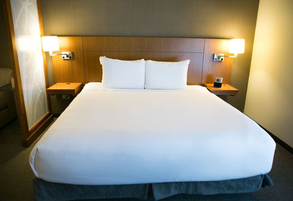 无障碍特大床间 - 带淋浴