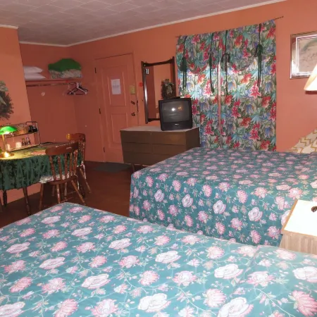 Four Seasons Motel Отели в г. Катскилл