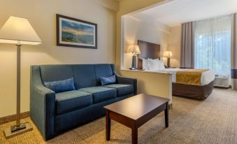 Comfort Suites Gastonia - Charlotte