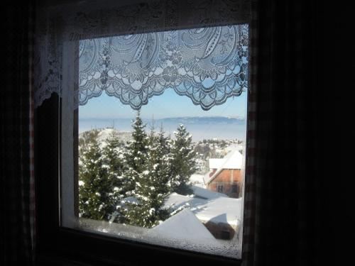 一卧室山景公寓