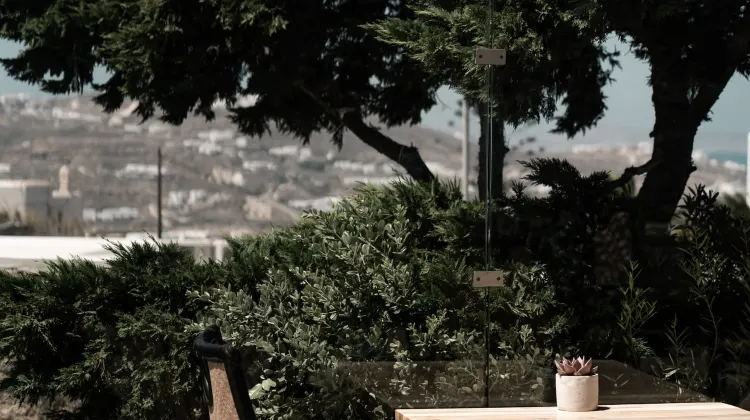 Asty Mykonos Hotel & Spa 食事・レストラン