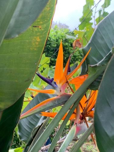 公寓 - 地面楼层