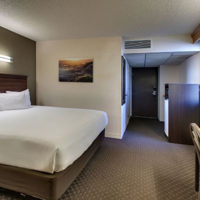 Standard Room, 1 King Bed with Sofa Bed (King Handicapped Accessible) EverSpring Inn & Suites – Bismarck Promo Code