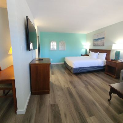 Standard King Room-Pet Friendly Inn at The Waterpark Promo Code
