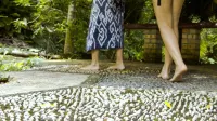 The Dusun Hotels in 