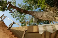 Villa Coral Guesthouse