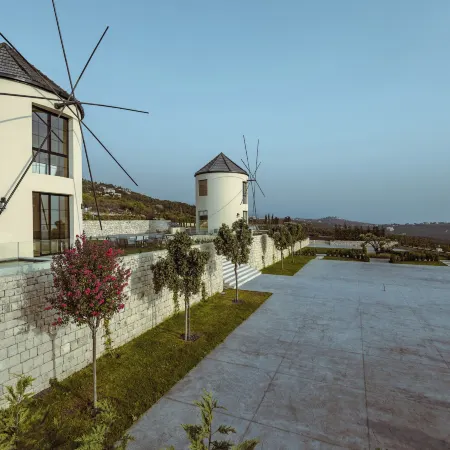 The Windmills
