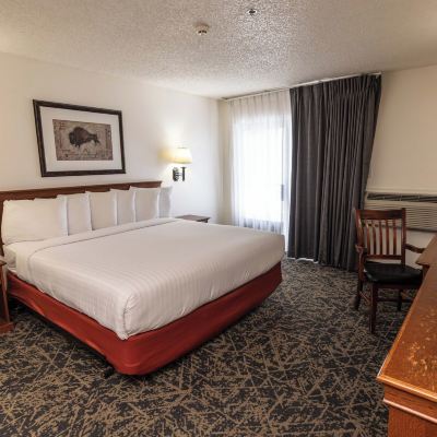 Traditional, One King Or Queen Bed, Non Smoking Lake Powell Resort Promo Code