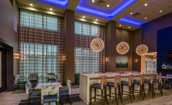 Hampton Inn & Suites by Hilton Plano Dallas