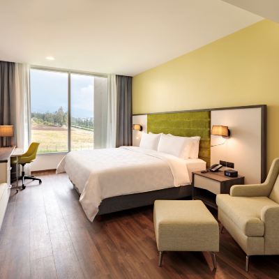 King Suite Holiday Inn Quito Airport, an IHG Hotel Promo Code
