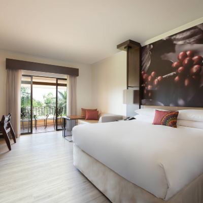 行政特大床房（帶陽台） 哥斯達黎加貝倫牧場萬豪酒店優惠