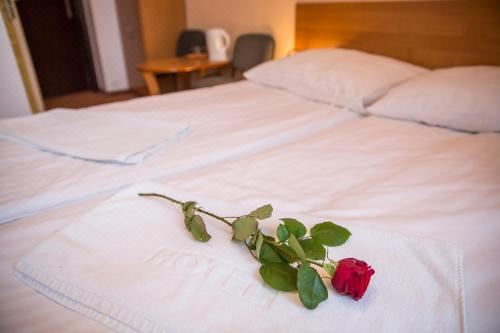 舒适双人或双床间