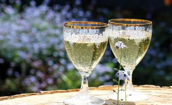 two wine glasses filled with white wine , placed on a wooden table in a garden setting at Hotel Wroxham