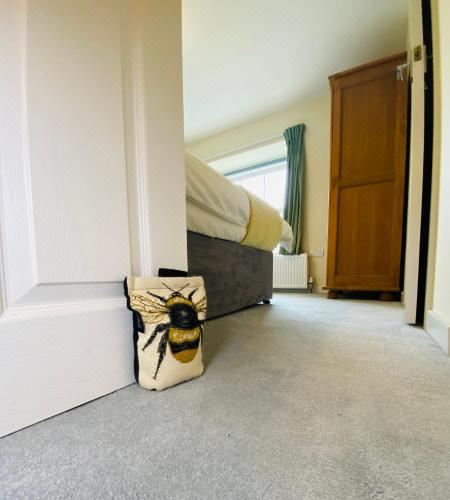 双床房（带淋浴）