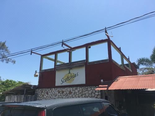 园景标准双床房