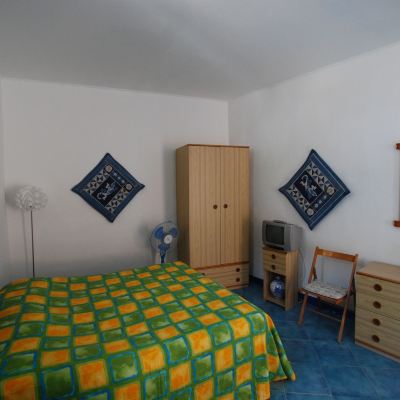 Studio Zenzero Studio Promo Code