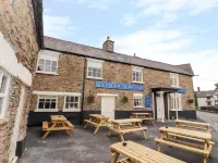 The Blue Lion