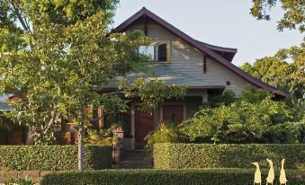The 3 Dux - Housity