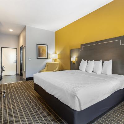 1 King Bed, Non-Smoking, Microwave and Refrigerator, Shower Only Best Western Plus Regency Park Promo Code