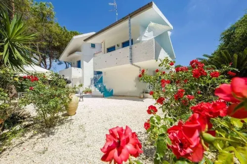 Suite House l'Isola Che Non C'è