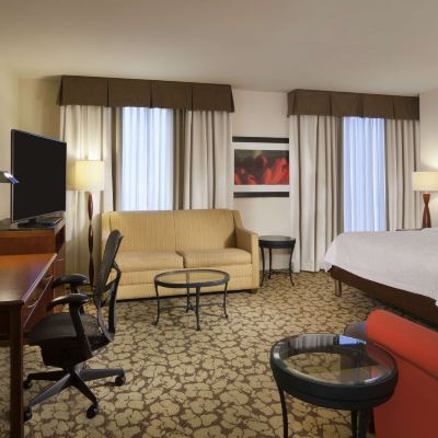 Mobility Accesible King Room with Whirlpool and Roll In Shower Hilton Garden Inn Virginia Beach Town Center Promo Code