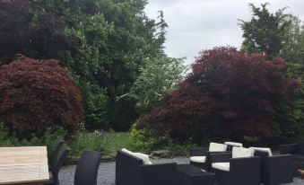 LLwyn Country House - Housity