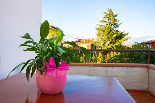 高级一卧室带阳台公寓