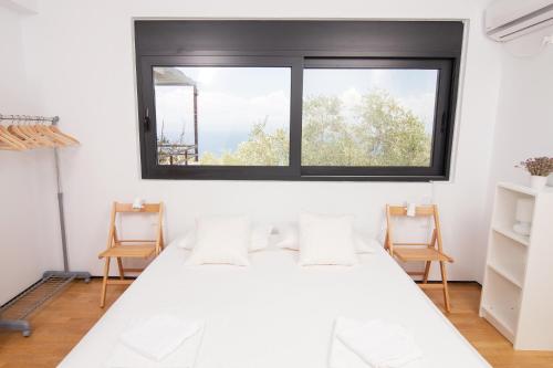 别墅（带独立泳池）