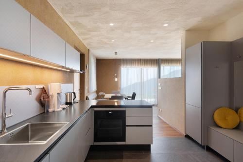 高级两卧室公寓