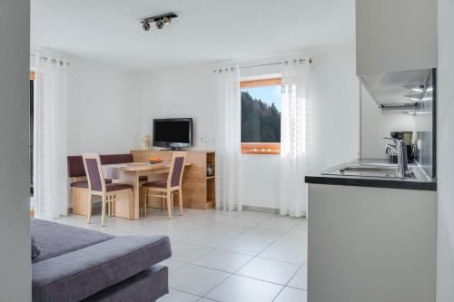 高級一臥室公寓