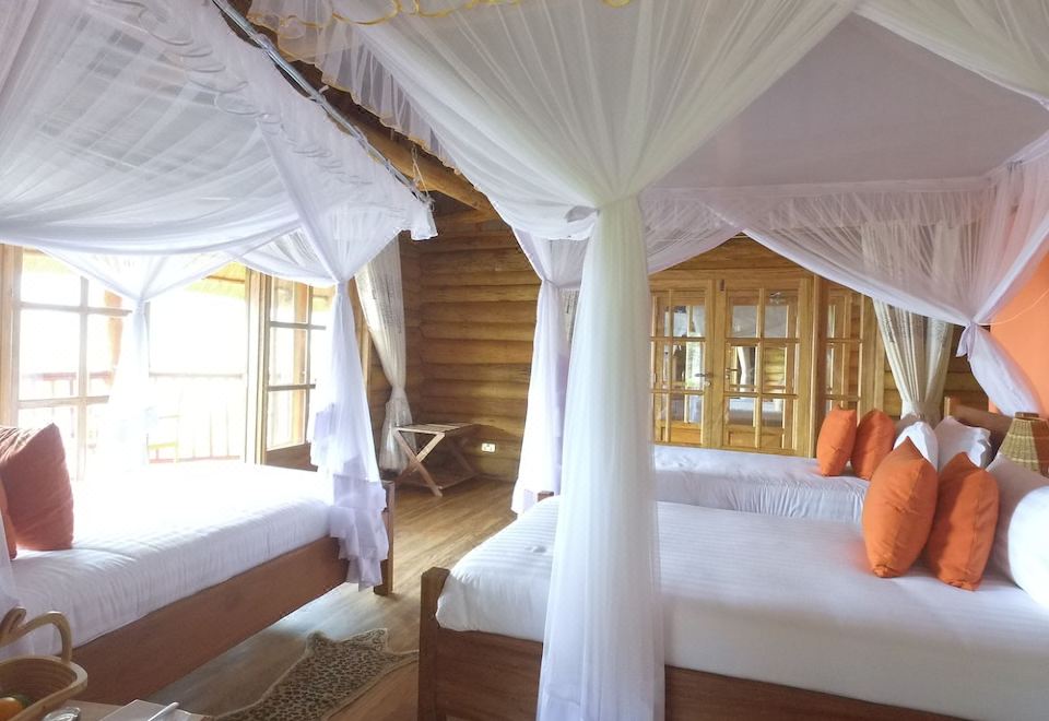 奢華三人房 禁煙