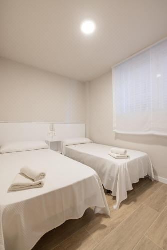 高级两卧室公寓