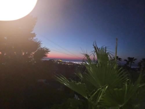 豪华双人一室房