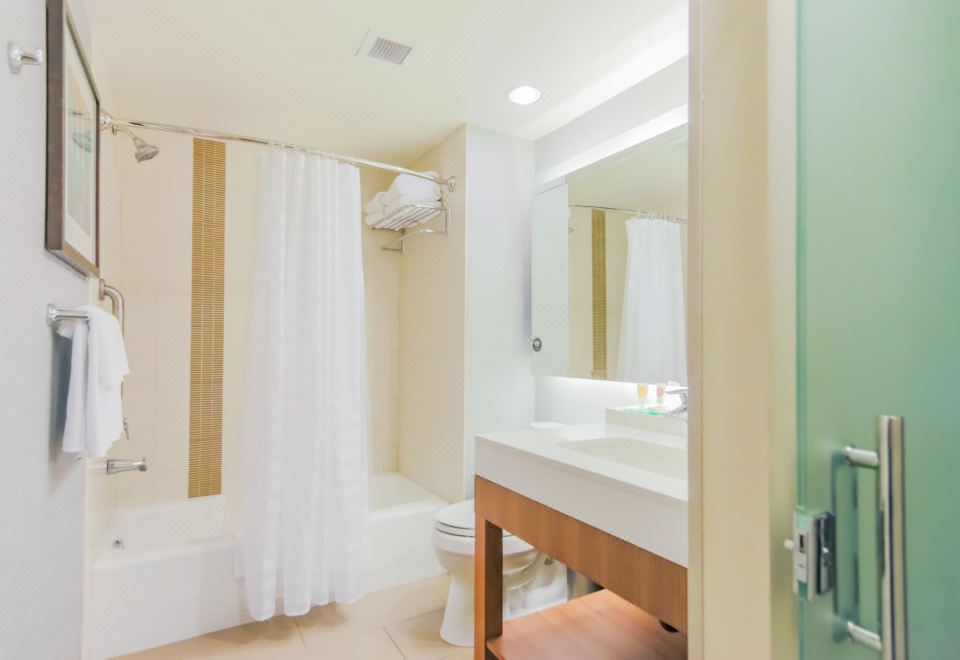 无障碍特大床间 - 带淋浴