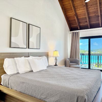 Duplex, Beach View View of Paradise at Sapphire Beach Promo Code