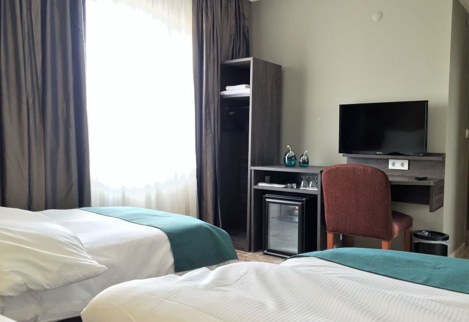 高级双床房，2张单人床