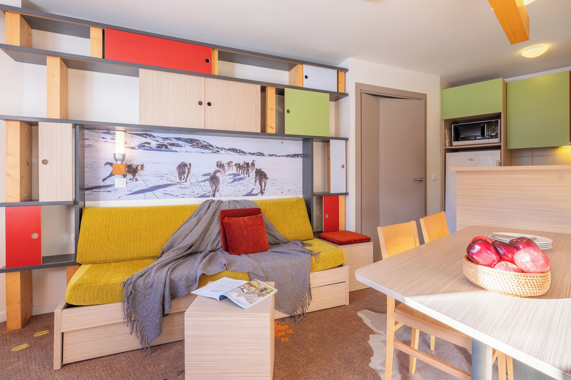 标准一卧室公寓