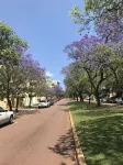 Riverview on Mount Street