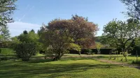 安格斯歷史 Spa 家庭旅館