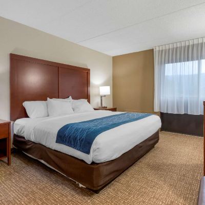 Upgrade King Suite - Non-Smoking Comfort Inn Binghamton I-81 Promo Code