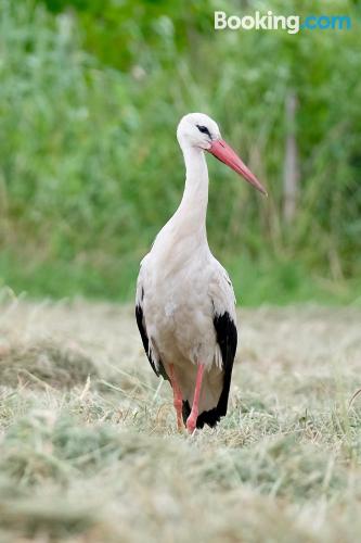 双人间 - 带厨房