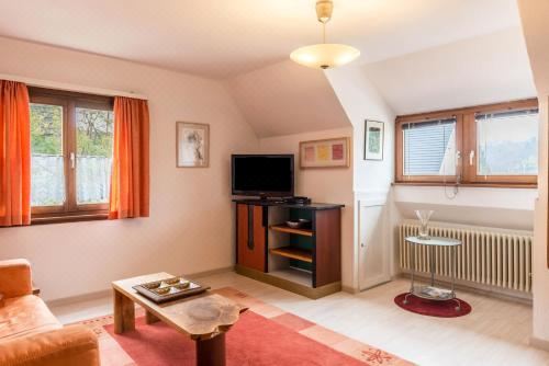 高级一卧室公寓