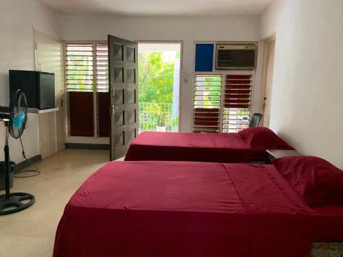 园景标准双床房