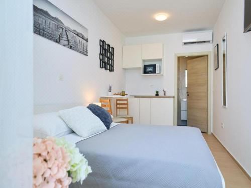 高级一室公寓 - 带露台