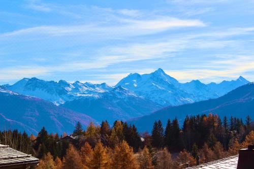 Hautes Roches - Magnifique Vue Sur la MontagneApartment with Mountain View
