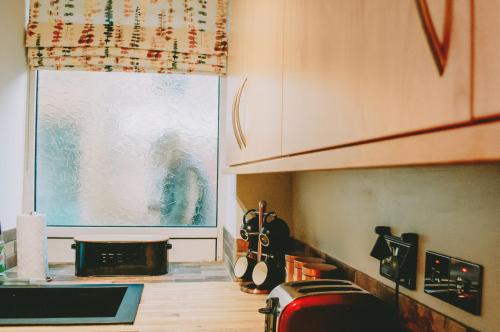 标准一卧室公寓