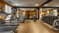 Hilton Garden Inn Houston/Galleria Area